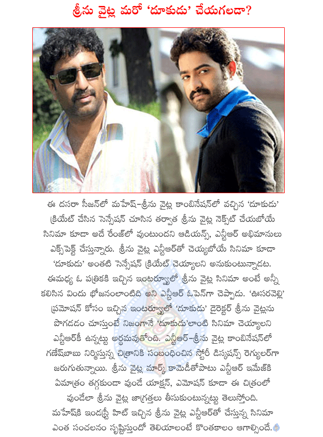 ntr latest movie details,ntr and srinu vytla combo movie,actor ganesh babu producing ntr and srinu vytla combo movie,srinu vytla trying to give dookudu to ntr,story discussions in progress of ntr and srinu vytla movie  ntr latest movie details, ntr and srinu vytla combo movie, actor ganesh babu producing ntr and srinu vytla combo movie, srinu vytla trying to give dookudu to ntr, story discussions in progress of ntr and srinu vytla movie